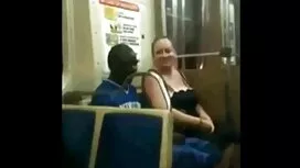 Европейски маце шиба ...