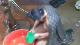 Красавица галеше ста ...