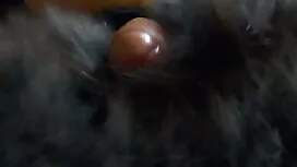 Младите крави имат с ...