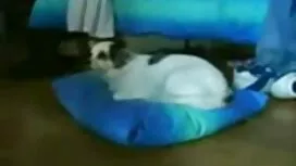 Азиатски мастурбира  ...
